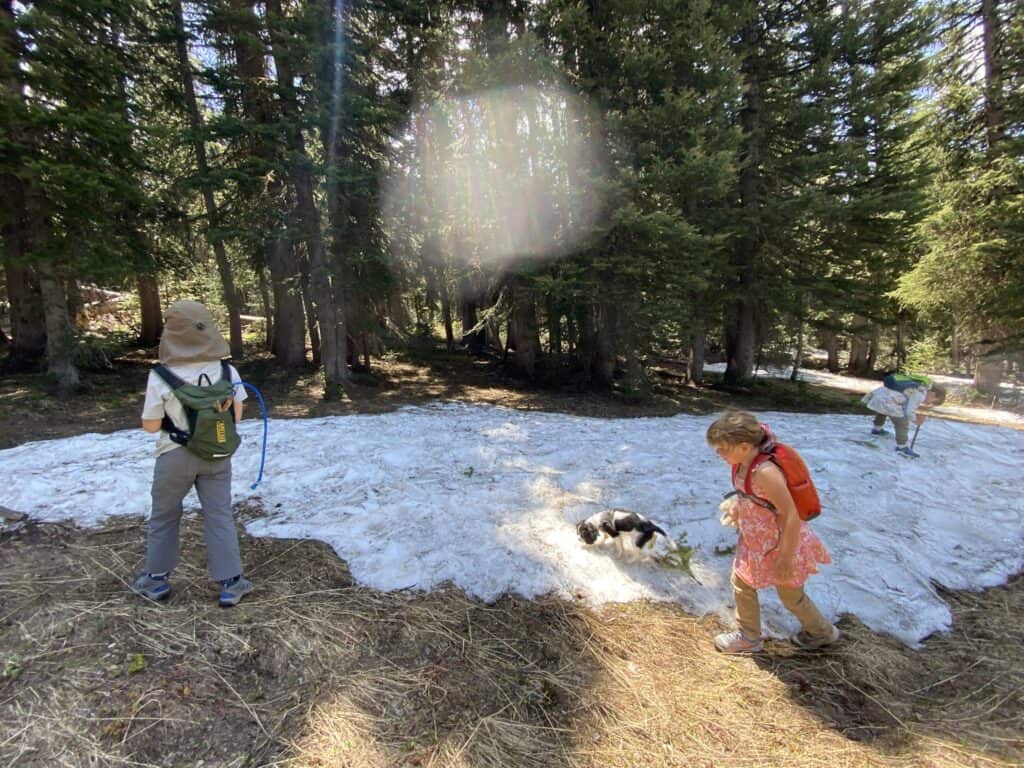 Earth day hike with snow and trees in the background