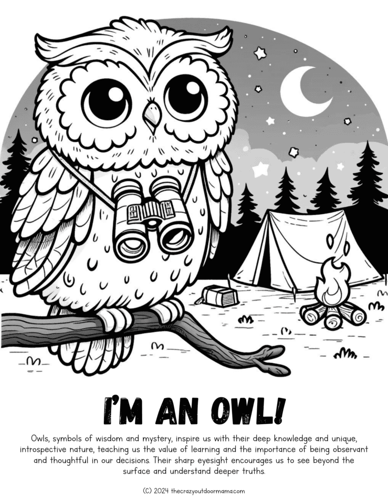 camping owl coloring page