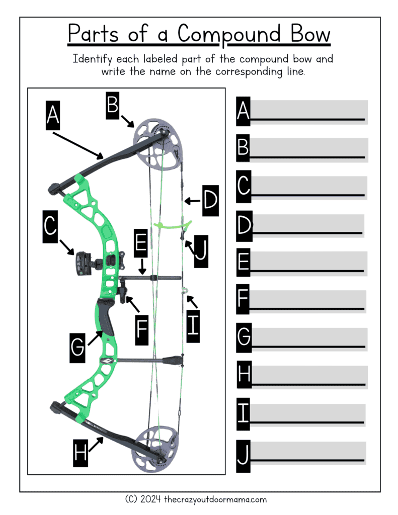 parts of a compound bow worksheet for 4h archery practice