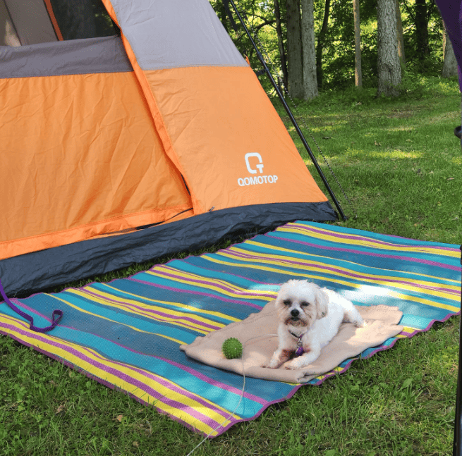 cheap camp rug for outside of tent with a dog on it