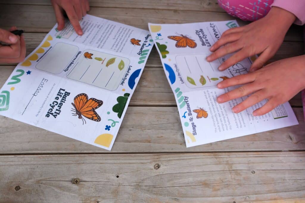 2 kids filling out a worksheet about butterfly life cycle