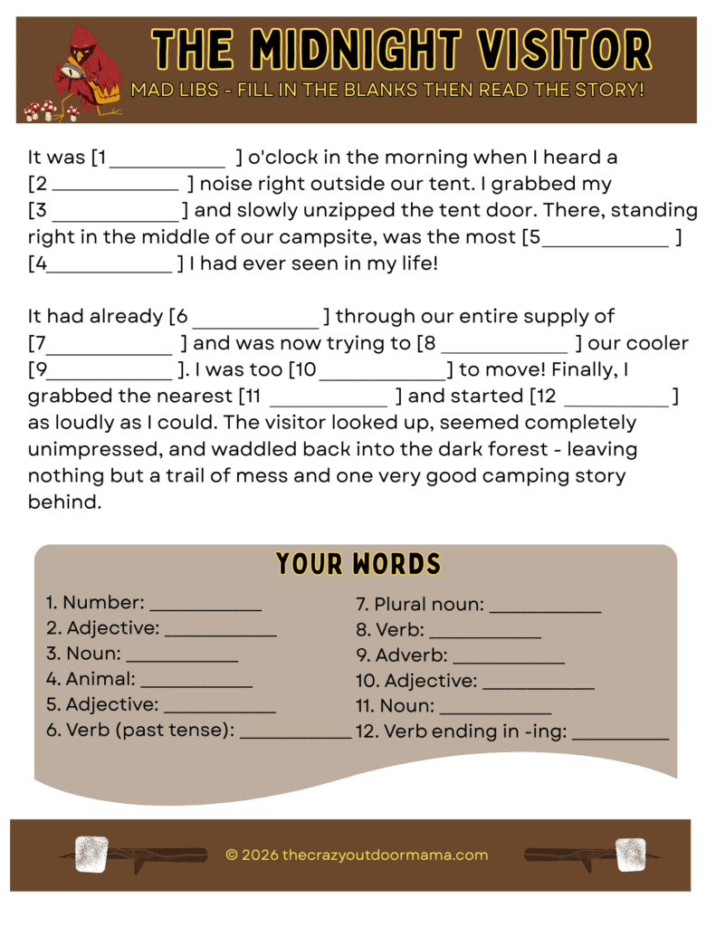 the midnight visitor free printable camping mad libs