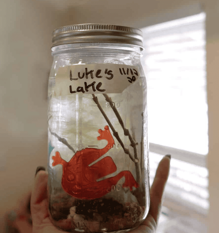make a frog environment in a jar